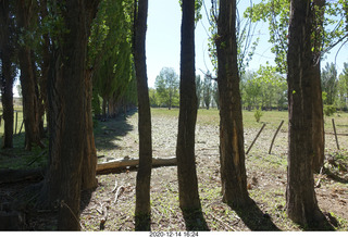 120 a0y. Argentina Eclipse Day