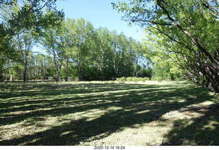 121 a0y. Argentina Eclipse Day