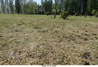 123 a0y. Argentina Eclipse Day