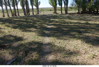 129 a0y. Argentina Eclipse Day - eclipse site run