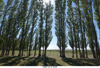 130 a0y. Argentina Eclipse Day - eclipse site run