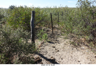 133 a0y. Argentina Eclipse Day - eclipse site run