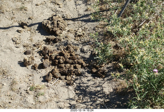 135 a0y. Argentina Eclipse Day - eclipse site run (horseshit)