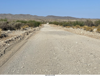 Alamo Lake run