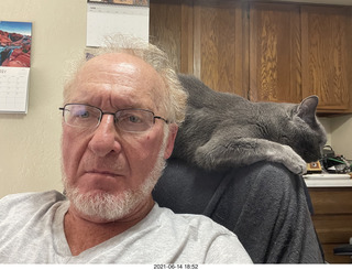 cat Potato