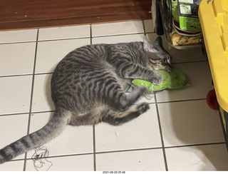 Didem and cat Potato