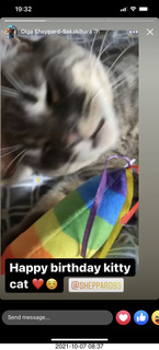 cat Potato birthday