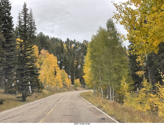 127 a18. drive to North Rim - yellow aspens