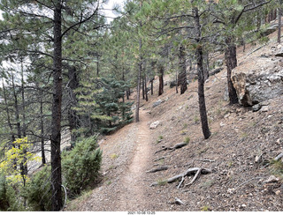 173 a18. Grand Canyon North Rim - Widforss Trail