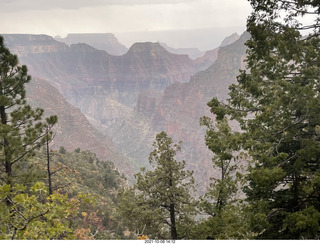 221 a18. Grand Canyon North Rim - Widforss Trail - vista view