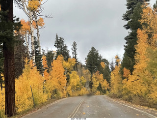 295 a18. drive to Kanab - yellow aspen trees