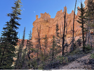 79 a18. Bryce Canyon - Peekaboo hike