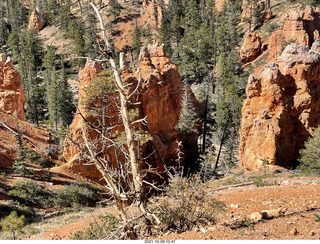 119 a18. Bryce Canyon - Peekaboo hike