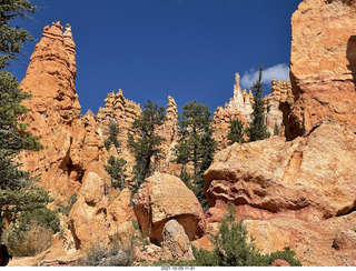 141 a18. Bryce Canyon - Peekaboo hike