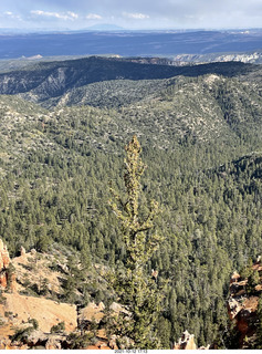 217 a18. Bryce Canyon drive - Farview Point