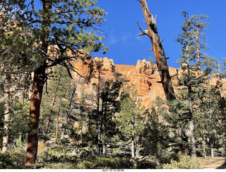 128 a18. Bryce Canyon Fairyland Trail hike