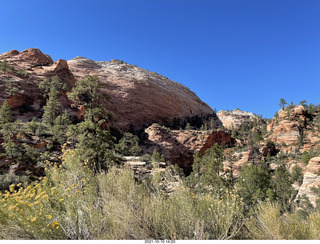 352 a18. Zion National Park