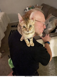 kitten Pickle