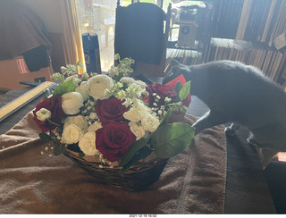 pumpkin flower arrangement + my cats Max and Devin