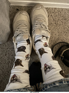 Bengal kitten Pickle on Adam's shoulders