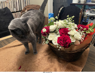 Jim Gerdy's birthday present + my cat Devin