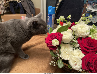 Jim Gerdy's birthday present + my cat Devin