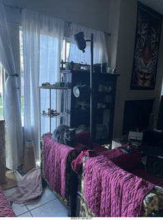 cat Jane in my hifi room