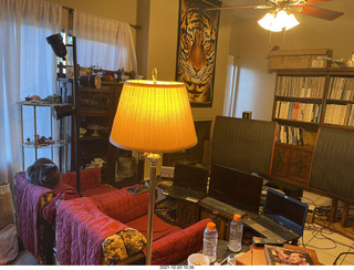 cat Devin in my hifi room