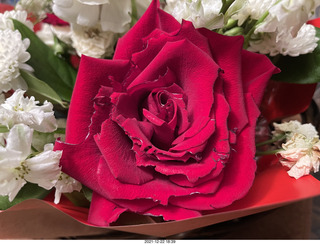 my birthday flowers