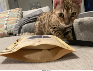 kitten Pickle and Hillsdale coffee