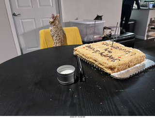 kitten Pickle and Hillsdale coffee