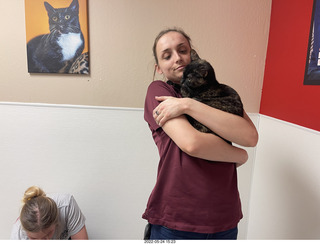 cat Miss Pris from web-page ad