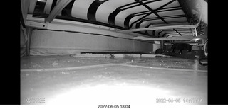 Miss Pris under the couch