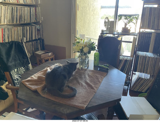 my hifi and my cat Jane from above