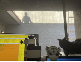 my cat Devin