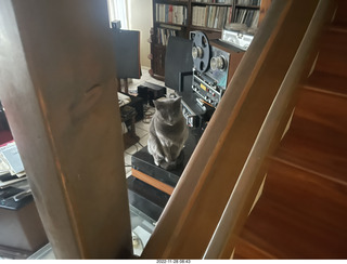 my cat Jane on my turntable in a hifi picture