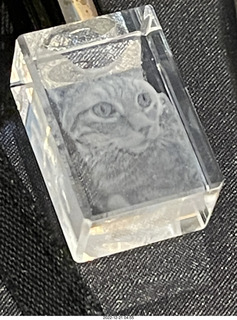 ArtPix 3D image of my cat Max