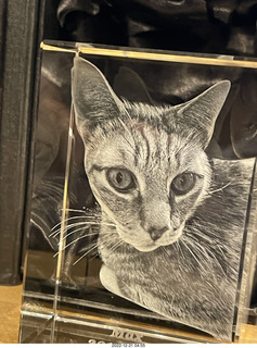 ArtPix3D - box