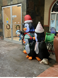 163 a1n. Moab Aarchway hotel greeting penguins