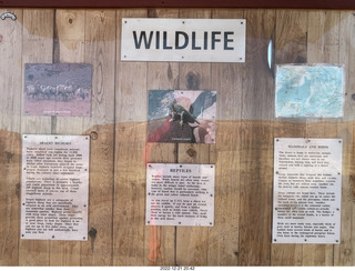 17 a1n. Utah - Canyonlands sign