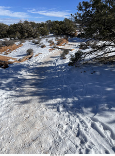 198 a1n. Utah - Canyonlands