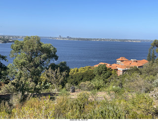 43 a1s. Astro Trails - Perth tour - Australian Botanical Garden view of Perth