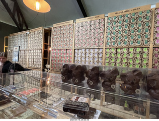 26 a1s. Astro Trails - wine-tasting tour - chocalate store