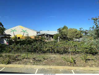 30 a1s. Astro Trails - wine-tasting tour - chocalate store