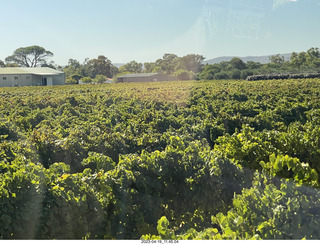 63 a1s. Astro Trails - wine-tasting tour