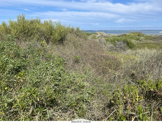 13 a1s. Astro Trails - Australia - Indian Ocean