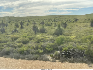 68 a1s. Astro Trails - Australia - driving