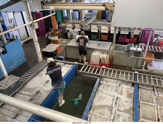 90 a1s. Astro Trails - Australia - lobsters tour