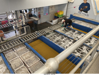 91 a1s. Astro Trails - Australia - lobsters tour