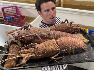 102 a1s. Astro Trails - Australia - lobsters tour